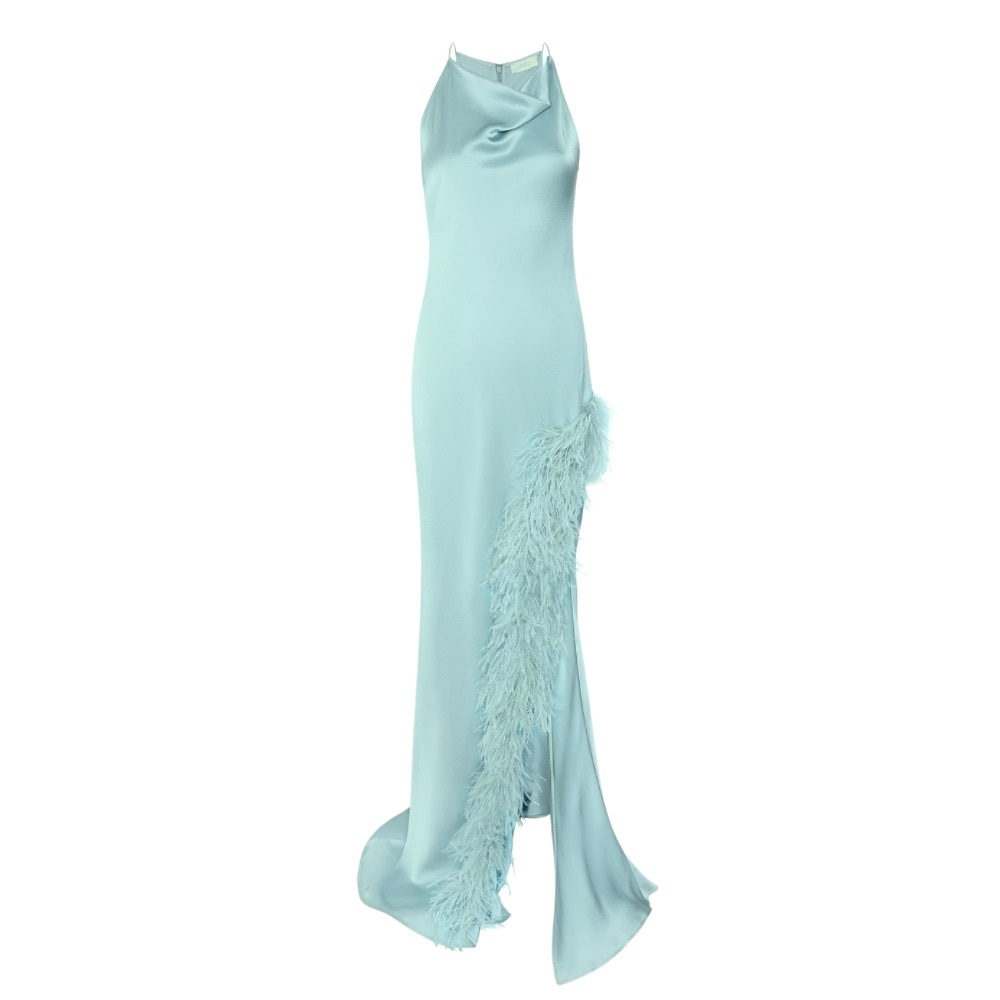 Satin Gown with Feathers